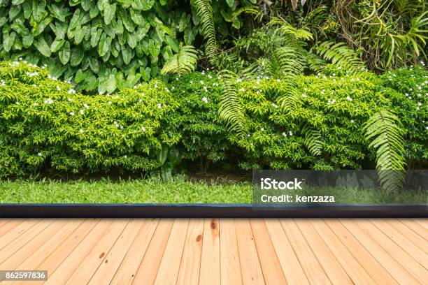 Wood Flooring In A Green Plant Garden Decorative Stock Photo - Download Image Now - Yard - Grounds, Backgrounds, Deck