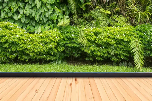 Photo of Wood flooring in a green plant garden decorative