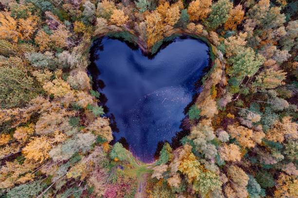 istock Aerial view of heart shaped pond 862597844