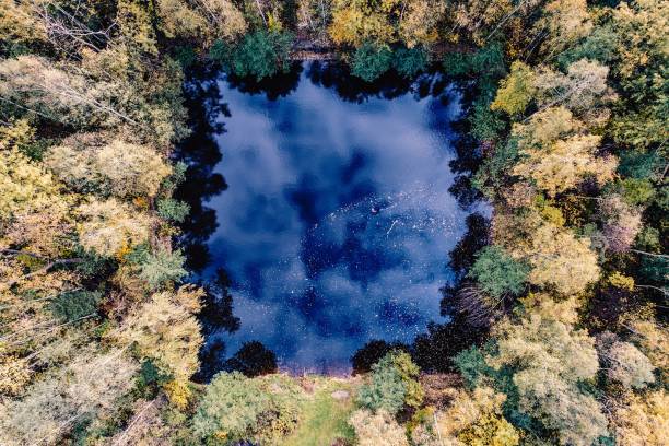 istock Aerial view of square shaped pond 862599902