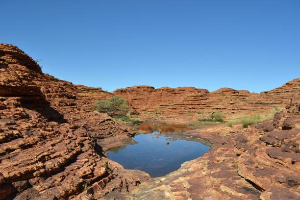 Hiking around Kings Canyon, around 2 hours by car from Uluru Hiking around Kings Canyon, around 2 hours by car from Uluru. Pic was taken in November 2016. barron gorge national park stock pictures, royalty-free photos & images