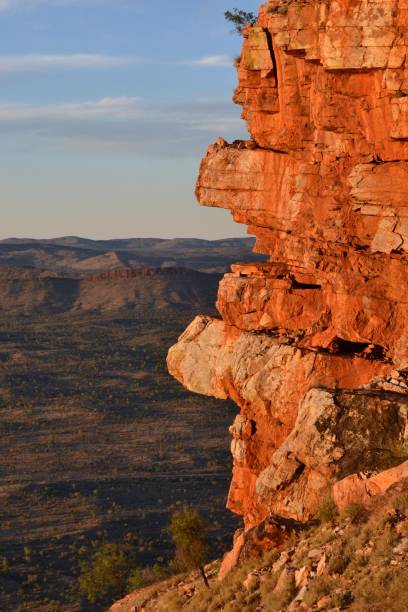 вид на горные хребты вокруг алис-спрингс, центральная австралия - wallaby kangaroo australia northern territory стоковые фото и изображения