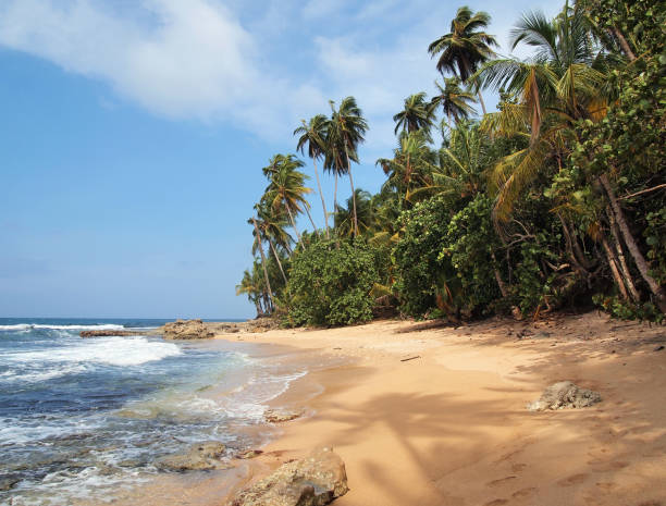 istock Unspoiled beach with lush vegetation 862612850