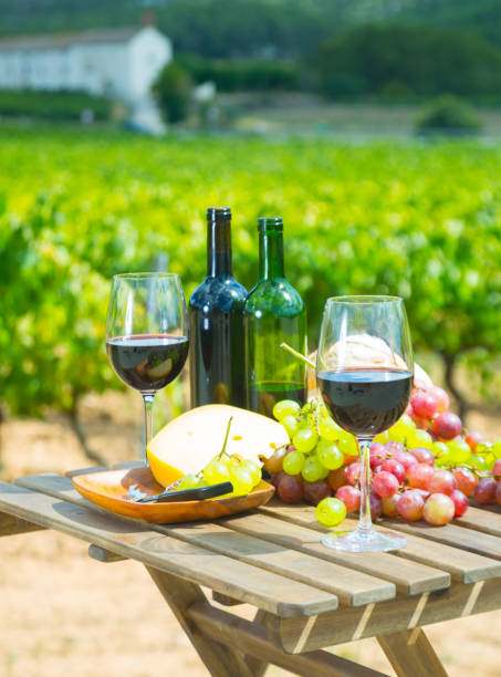 istock Red wine, cheese, bread and grapes with vineyard 862619680