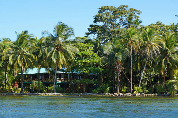 istock Waterfront house with tropical garden 862621004