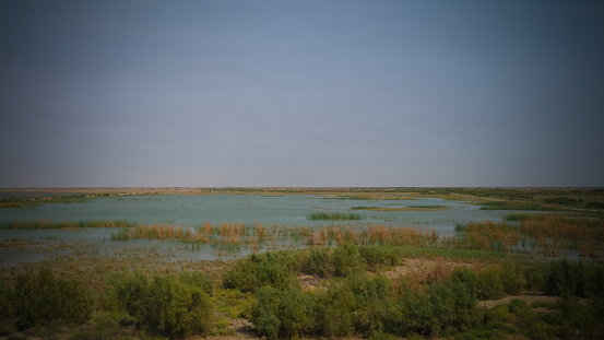 Marismas de Mesopotamia, hábitat de árabes de los pantanos aka Madans Basora Irak photo
