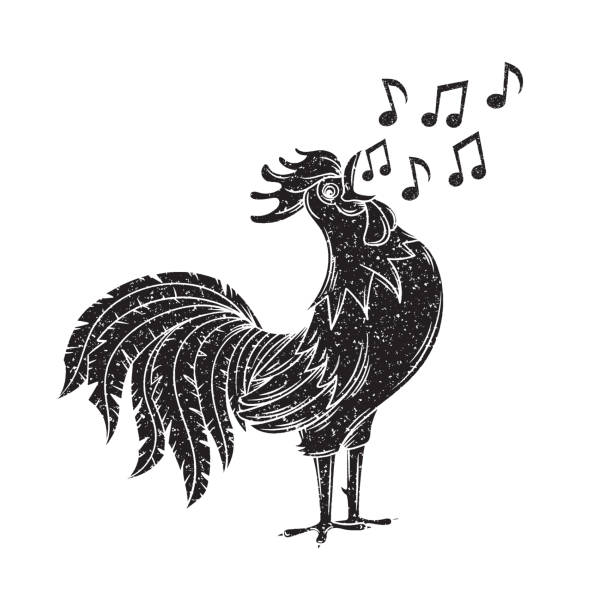 ilustraciones, imágenes clip art, dibujos animados e iconos de stock de gallo cantando - chicken poultry cartoon cockerel