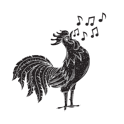 Vector illustration with singing rooster. Black Bird sings a song. Hand drawn grunge style.