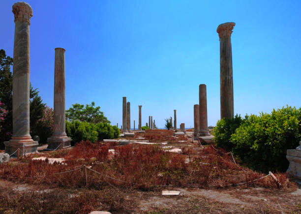 resti di antiche colonne nel sito di scavo di al mina a tiro, libano - city of tyre lebanon antiquities archaeology foto e immagini stock