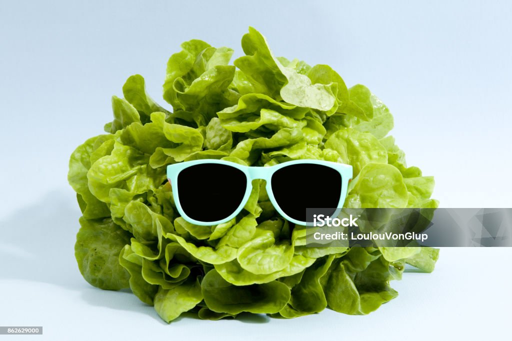 Sonnenbrillen-Salat - Lizenzfrei Humor Stock-Foto