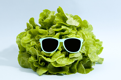 funky isolated lettuce wearing sunglasses on a pop vibrant blue background. Minimal color still life photography