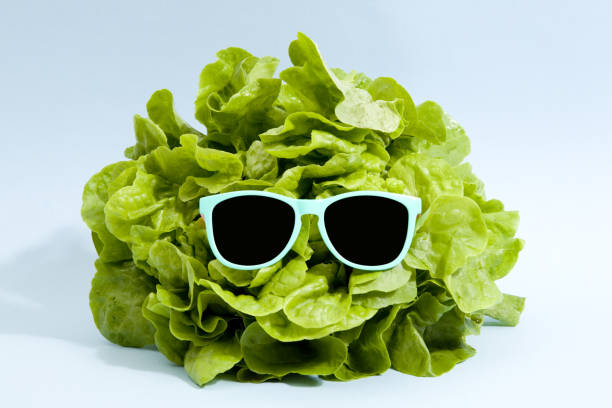 sunglasses lettuce funky isolated lettuce wearing sunglasses on a pop vibrant blue background. Minimal color still life photography anthropomorphic face photos stock pictures, royalty-free photos & images