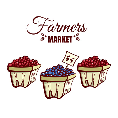Farmers market. Local food. Baskets of various ripe berries isolated on white background. Hand drawn vector illustration