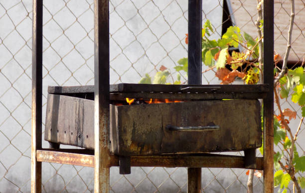 istock Barbecue grill for garden party in the backyard 862638292