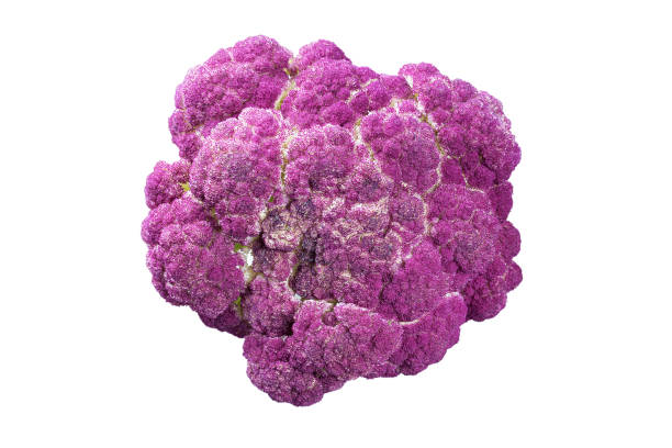 istock Purple cauliflower on a white background isolated, diet 862642230