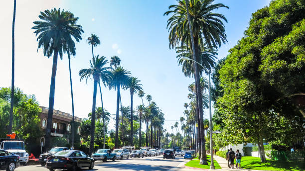 istock Visiting Los Angeles in California 862649366