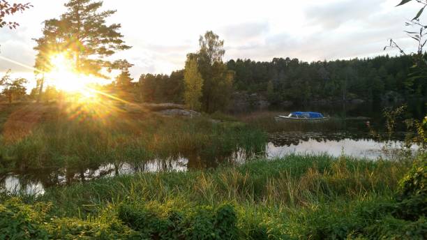 istock Sunset through tree over lake with boat 862650506