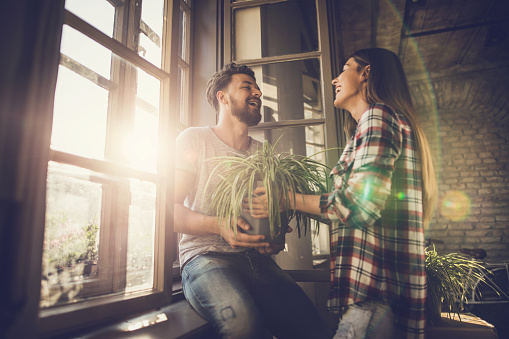 Happy couple communicating at their apartment while woman is giving her boyfriend potted plant. Focus is on man.