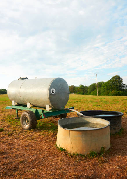 istock Water trough for drinking for cows cattle in field 862653922