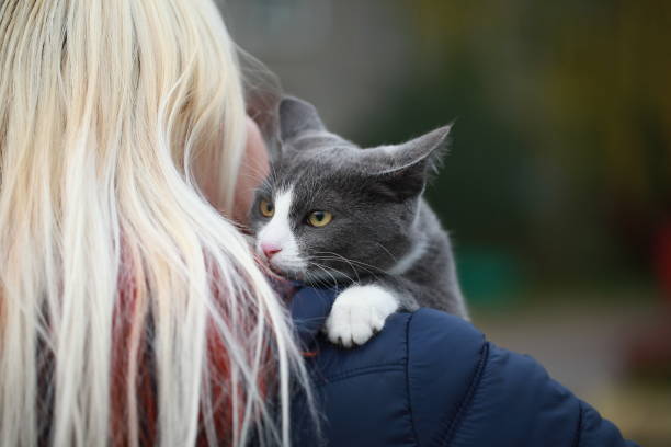 istock gray cat on the street walk on a leash 862657584