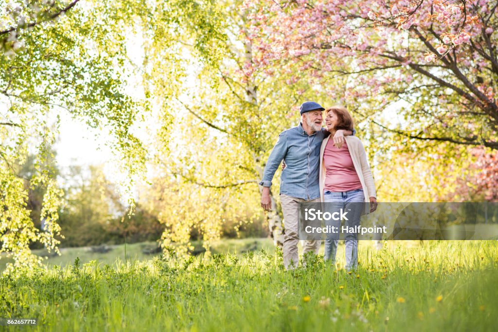 Beautiful senior couple in love outside in spring nature. Beautiful senior couple in love on a walk outside in spring nature under blossoming trees. Springtime Stock Photo