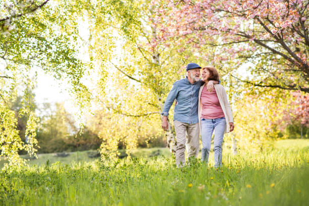 Beautiful senior couple in love outside in spring nature. Beautiful senior couple in love on a walk outside in spring nature under blossoming trees. old tree stock pictures, royalty-free photos & images