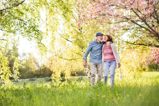 Beautiful senior couple in love on a walk outside in spring nature under blossoming trees.