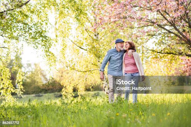 Foto de Lindo Casal Sênior No Amor Fora Na Natureza Da Primavera e mais fotos de stock de Primavera - Estação do ano