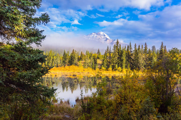 istock The concept of ecotourism 862663832