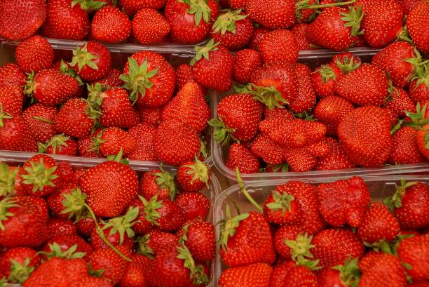 istock Red texture of ripe strawberry berries in plastic cans 862668076