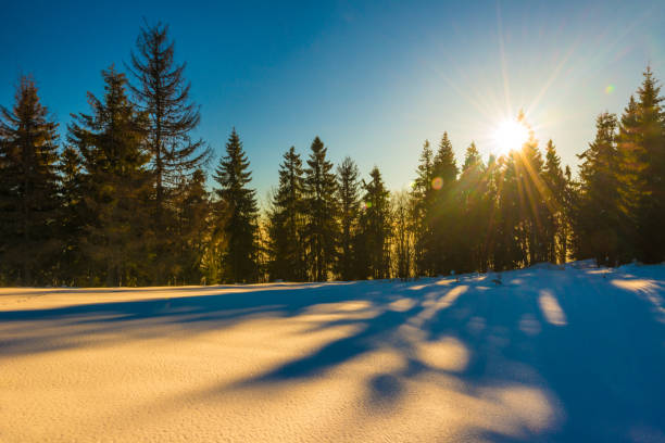 istock Sunny winter mountain - Ukraine 862671844