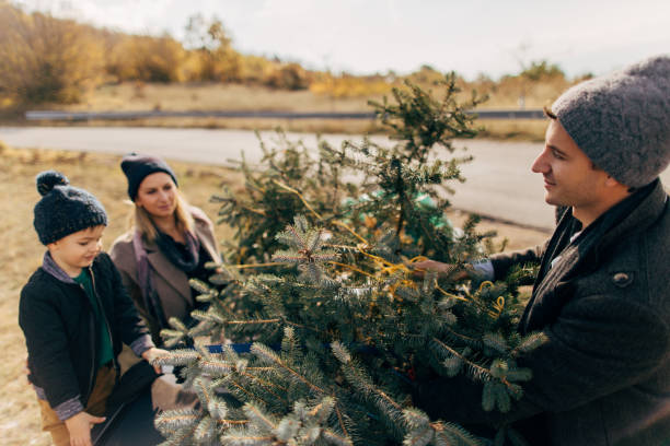 istock Family's picked up their Christmas tree 862672610