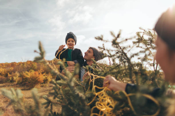 istock We have picked up our Christmas tree! 862675664