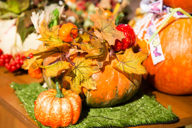 istock Pumpkin harvest in the nature 862675700