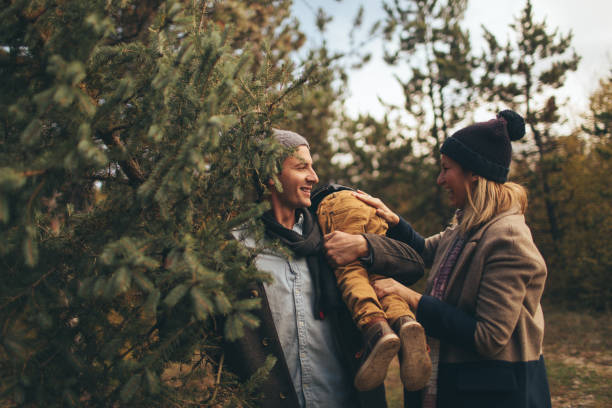 istock Carrying our Christmas tree home 862676240