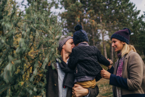 istock Family have chosen their Christmas tree 862676992