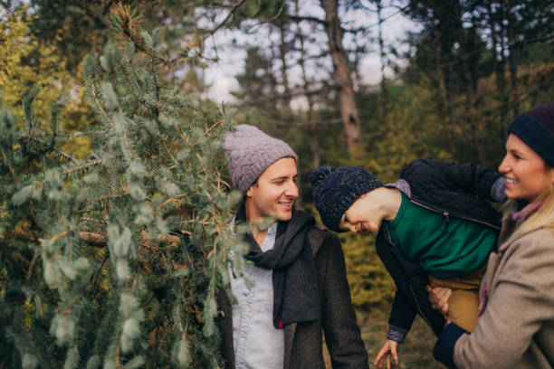 istock Family have chosen their Christmas tree 862677028