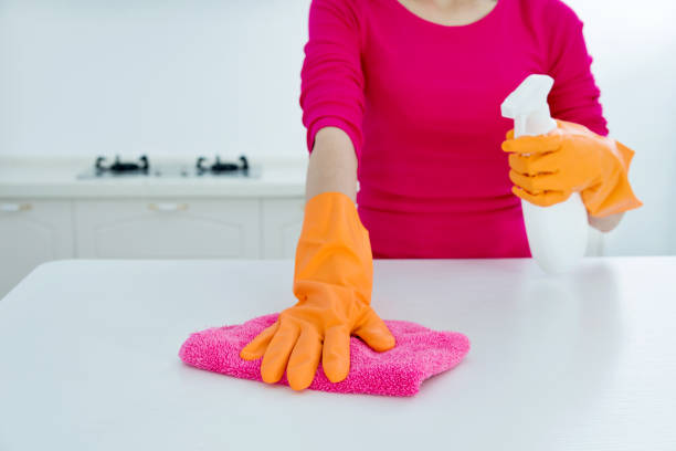 istock Woman cleaning the kitchen counter with a spray bottle 862679654