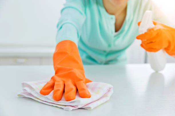 istock Woman cleaning the kitchen counter with a spray bottle 862679774