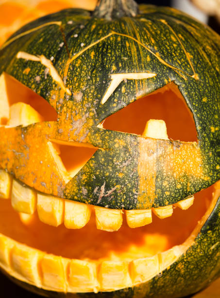 istock Pumpkin harvest in the nature 862679816