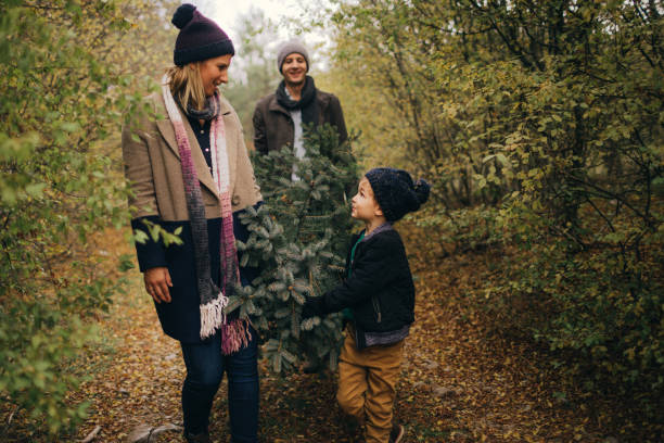 istock Carrying our Christmas tree home 862679984