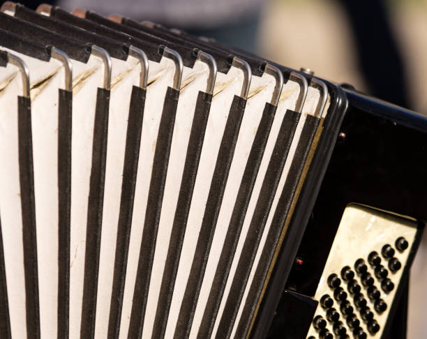 istock musician plays the old accordion 862680020