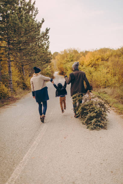 istock Family in a Christmas tree quest 862680494