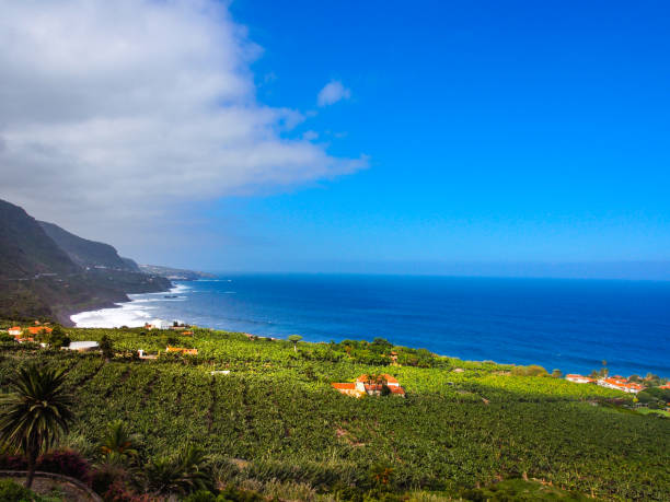 istock Mountainous Landscape of Tenerife 862684862