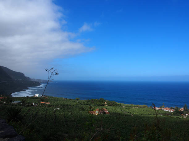 istock Mountainous Landscape of Tenerife 862687448
