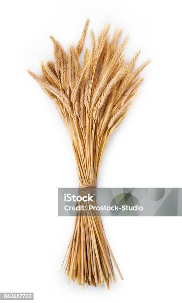 Reife Ähren Weizen Bündel Isoliert Auf Weißem Hintergrund Stockfoto und mehr Bilder von Weizen