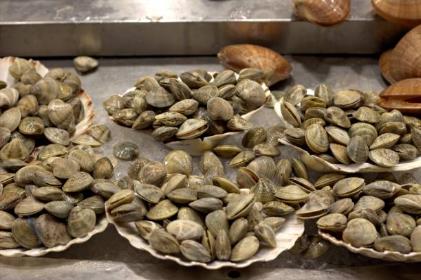 istock Fish market in Barcelona 862689636