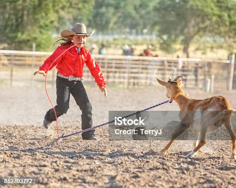 360+ Goat Tying Stock Photos, Pictures & Royalty-Free Images - iStock |  Rodeo, Steer wrestling, Barrel racing