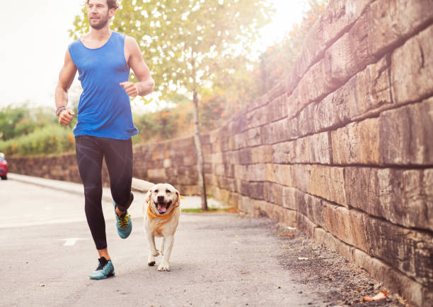 istock Jogging with my best friend 862704268
