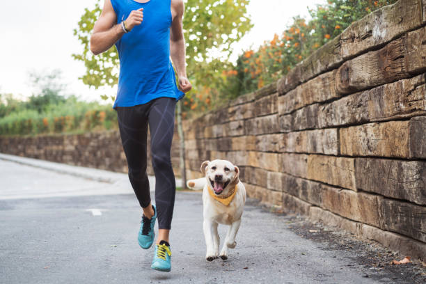 istock Jogging with my best friend 862704442